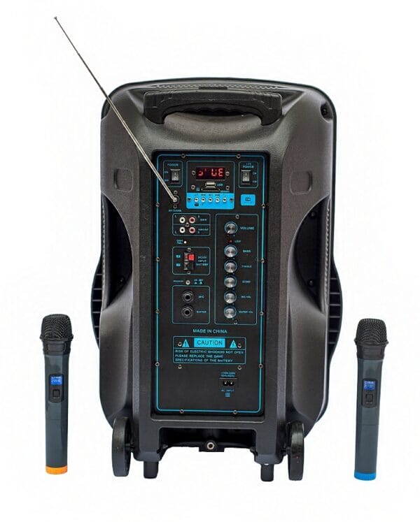 Караоке тонколона / 15" 700W
