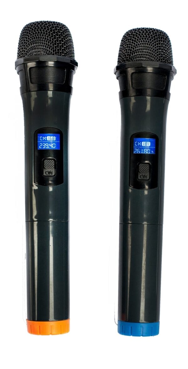 Караоке тонколона / 12" 700W